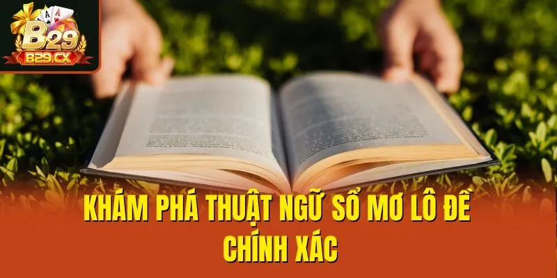 Khám phá thuật ngữ sổ mơ lô đề chính xác