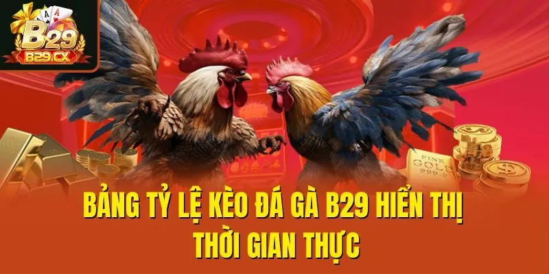 Bảng tỷ lệ kèo đá gà B29 hiển thị thời gian thực